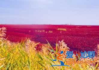 盤錦有什么好玩的，盤錦必游景點？