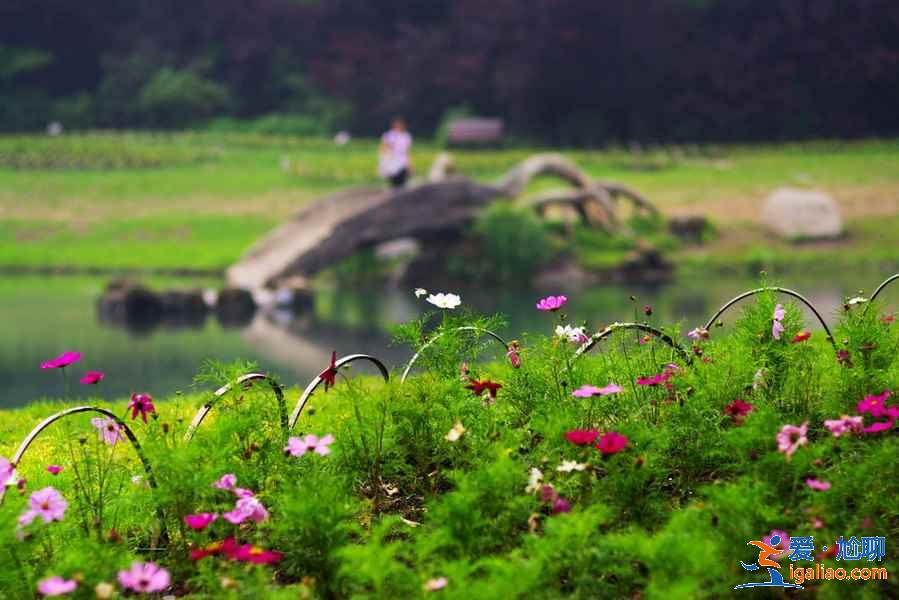 太子灣公園附近有什么景點？太子灣公園附近有什么好玩的？太子灣公園周邊有什么景點？？