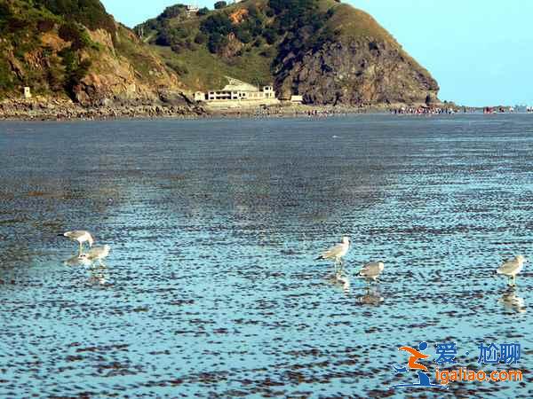 丹東大鹿島好玩嗎,大鹿島門票多少? 丹東大鹿島好玩嗎,大鹿島門票多少?