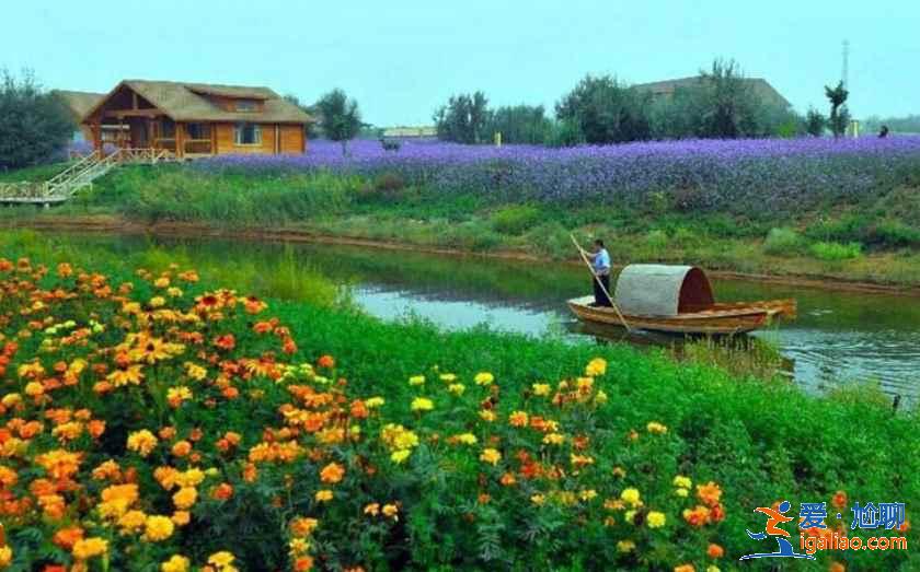 去沙坡頭旅游住哪里,沙坡頭住哪里好? 去沙坡頭旅游住哪里,沙坡頭住哪里好?