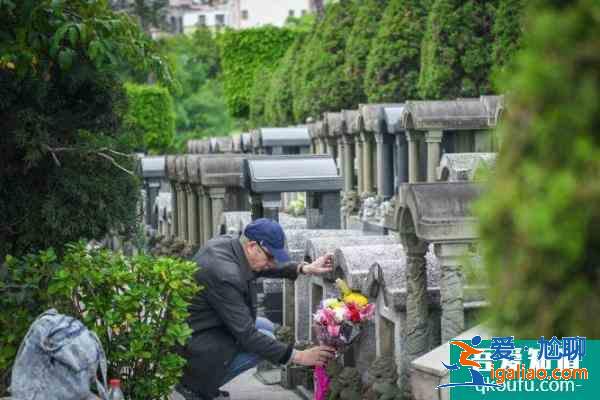 天津公墓掃墓怎么預約 2021天津各大公墓掃墓預約方式？