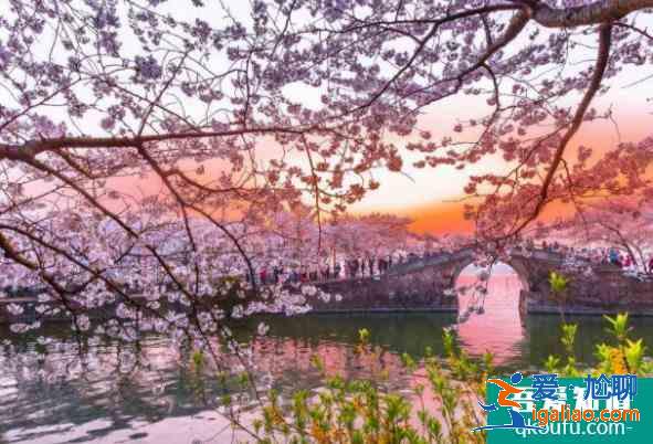 2021年4月份最適合旅游的地方有哪些? 2021年4月份最適合旅游的地方有哪些?