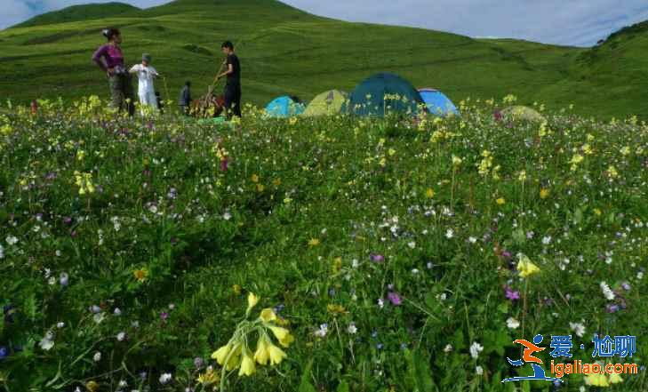 中國十大非著名山峰，登山愛好者的新路線【收藏】？