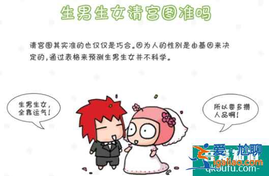 生男生女清宮圖? 生男生女清宮圖?