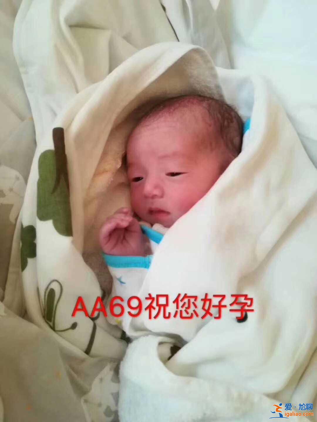 代媽微信群號碼大全？