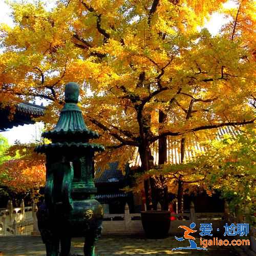 懷柔有什么好玩的,2019懷柔旅游景點推薦? 懷柔有什么好玩的,2019懷柔旅游景點推薦?