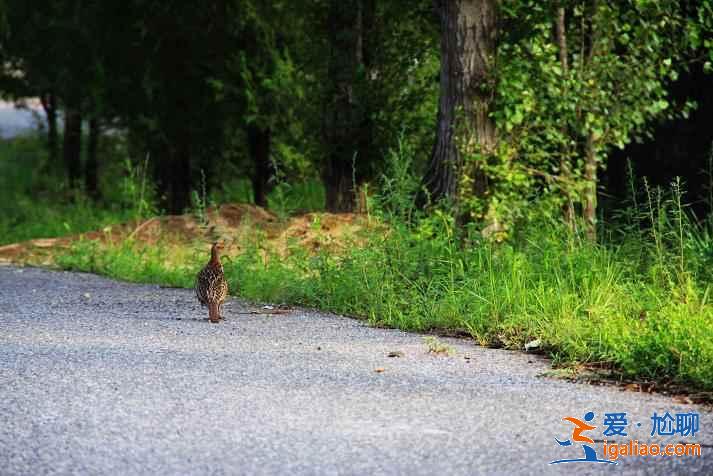 懷柔有什么好玩的,2019懷柔旅游景點推薦? 懷柔有什么好玩的,2019懷柔旅游景點推薦?