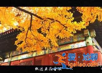 懷柔有什么好玩的,2019懷柔旅游景點推薦? 懷柔有什么好玩的,2019懷柔旅游景點推薦?