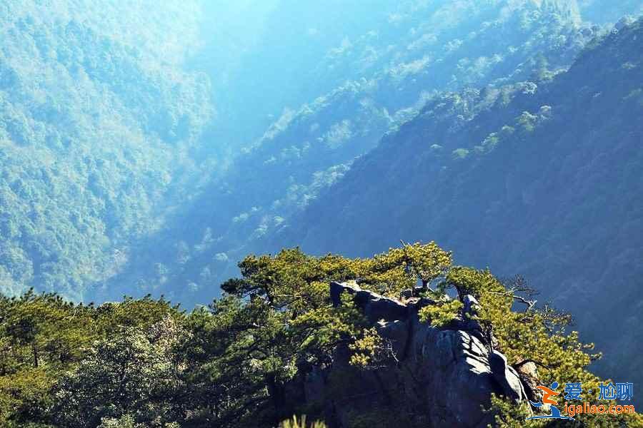 武功山：群山懷抱的天上草原？