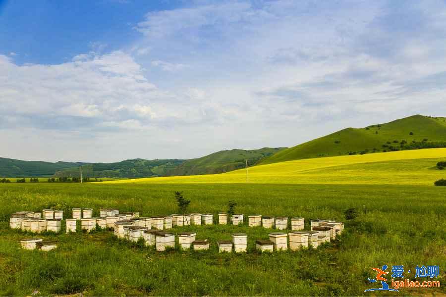 阿爾山自助游怎么玩,阿爾山自助游路線推薦,阿爾山自助游攻略? 阿爾山自助游怎么玩,阿爾山自助游路線推薦,阿爾山自助游攻略?