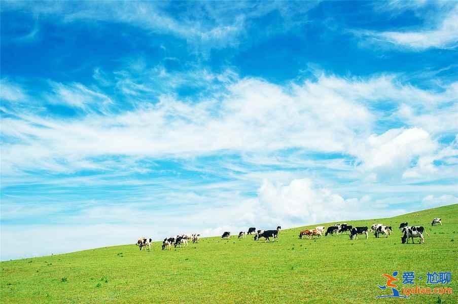 張北有什么好玩的地方，張北有什么旅游景點？