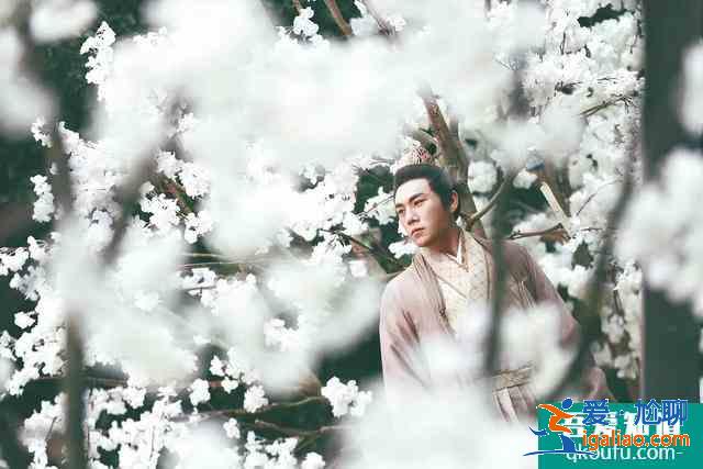 秦昊剛說不接爛片，《錦繡南歌》就上線了，打臉速度真是太快了？