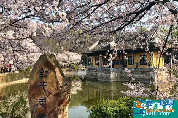 無錫看梅花的地方 無錫賞梅哪里最好？