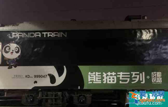 熊貓專列y888次列車成都遵義三日游攻略？