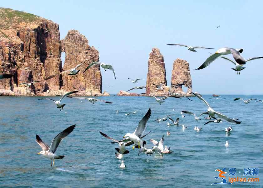 長島有什么好玩的地方,長島哪里好玩,長島有什么旅游景點? 長島有什么好玩的地方,長島哪里好玩,長島有什么旅游景點?