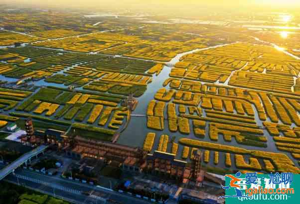 2021泰州秋雪湖郁金香花展時間及活動詳情？