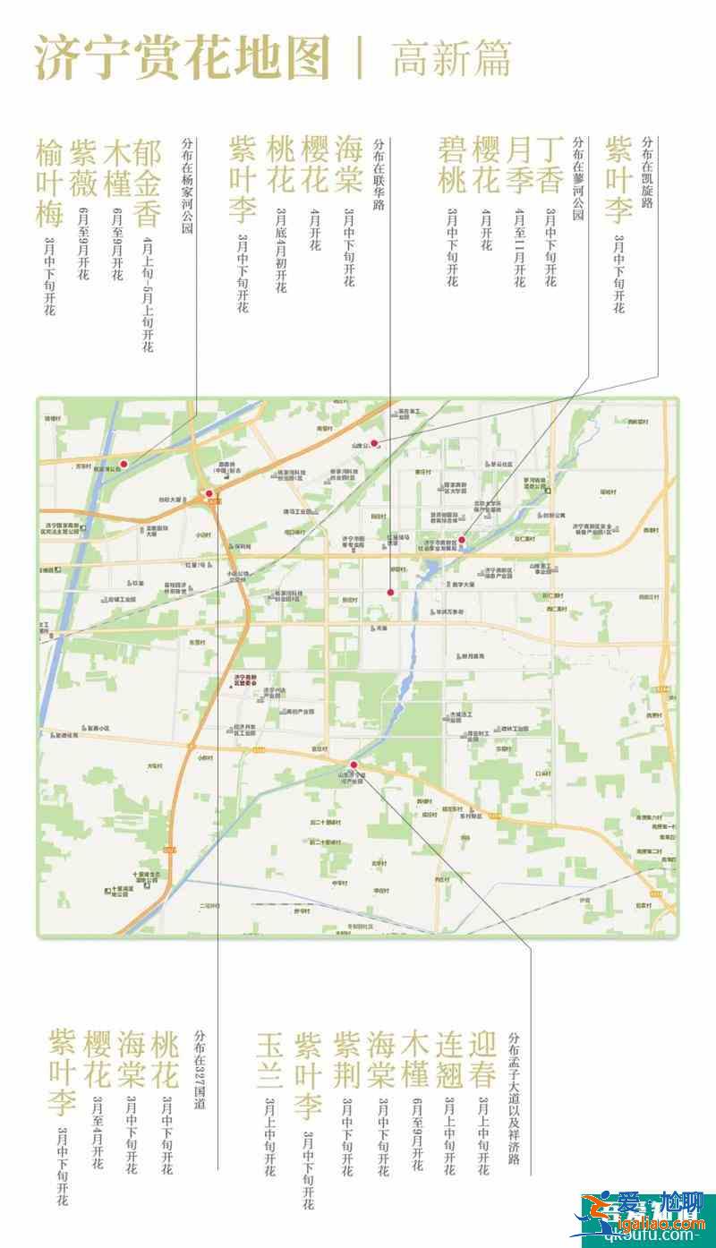 2021濟寧最新賞花地圖 濟寧賞花去哪里? 2021濟寧最新賞花地圖 濟寧賞花去哪里?