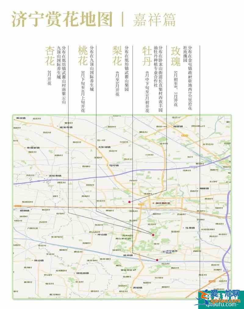 2021濟寧最新賞花地圖 濟寧賞花去哪里? 2021濟寧最新賞花地圖 濟寧賞花去哪里?