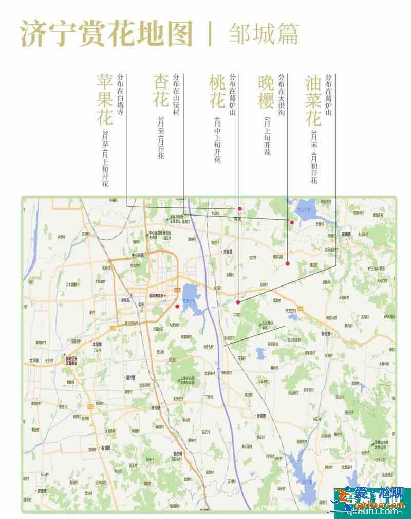 2021濟寧最新賞花地圖 濟寧賞花去哪里? 2021濟寧最新賞花地圖 濟寧賞花去哪里?