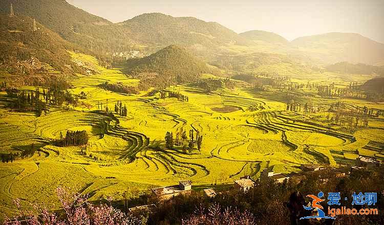 羅平旅游必去的地方，羅平必玩美景top5？