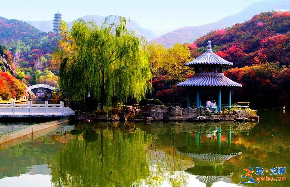 【山東三日游路線】山東三日美食之旅,美景美食兩不誤!? 【山東三日游路線】山東三日美食之旅,美景美食兩不誤!?