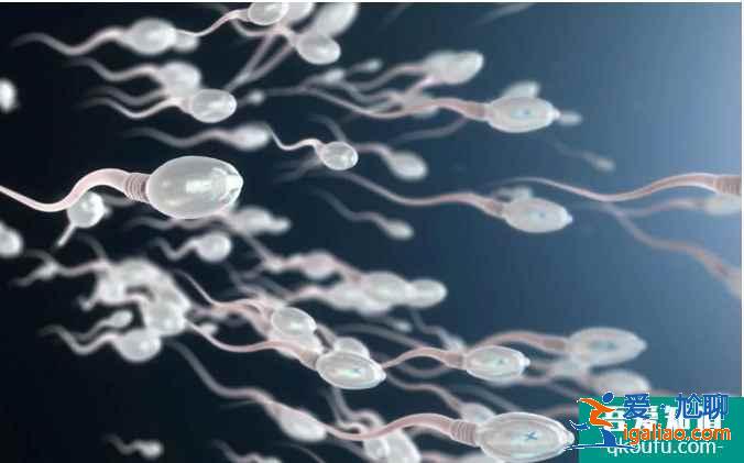 輸卵管堵塞赴泰做試管嬰兒費用?? 輸卵管堵塞赴泰做試管嬰兒費用??