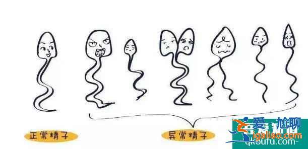 輸卵管堵塞赴泰做試管嬰兒費用?? 輸卵管堵塞赴泰做試管嬰兒費用??