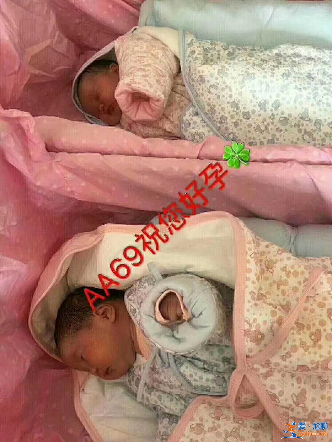 上海代懷孩子需要多少錢[ 安全高效 ]？