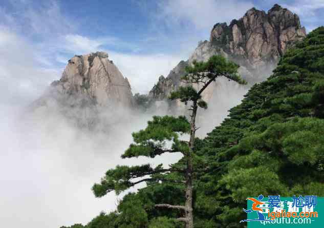 黃山必去的景區景點有哪些？