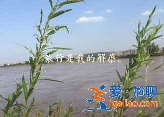 沙坡頭有什么好玩的,沙坡頭不可錯過的體驗? 沙坡頭有什么好玩的,沙坡頭不可錯過的體驗?