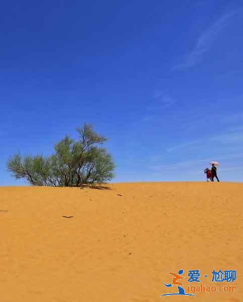 沙坡頭有什么好玩的,沙坡頭不可錯過的體驗? 沙坡頭有什么好玩的,沙坡頭不可錯過的體驗?