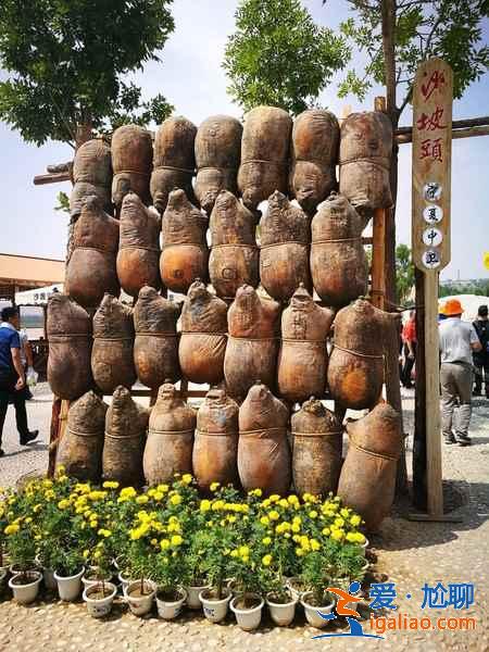 沙坡頭有什么好玩的,沙坡頭不可錯過的體驗? 沙坡頭有什么好玩的,沙坡頭不可錯過的體驗?