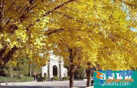 8月去清華大學需要預約嗎?怎么預約?？