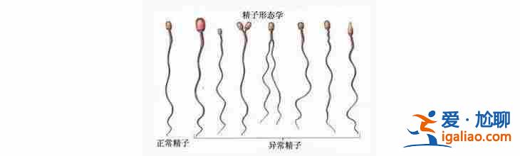 西寧助孕中心_三四萬塊錢可以完成嗎？？