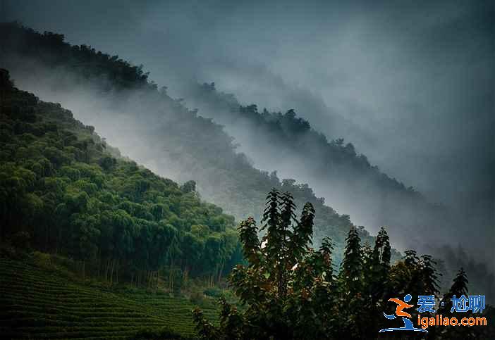 安吉有什么好玩的，安吉哪個(gè)景點(diǎn)最好玩，安吉旅游哪里最好玩？