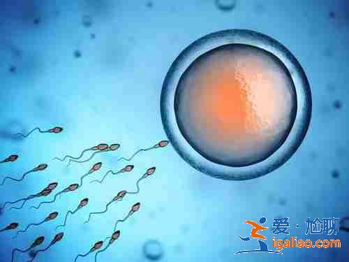 代生孩子需要多少錢，哪家優(yōu)質(zhì)靠譜？