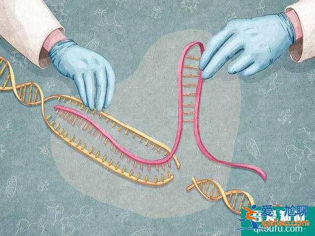 試管嬰兒生男孩的幾率高嗎？？