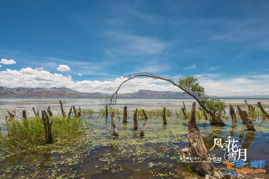 洱海環(huán)湖自駕需要多長(zhǎng)時(shí)間，洱海環(huán)湖自駕路線怎么走？