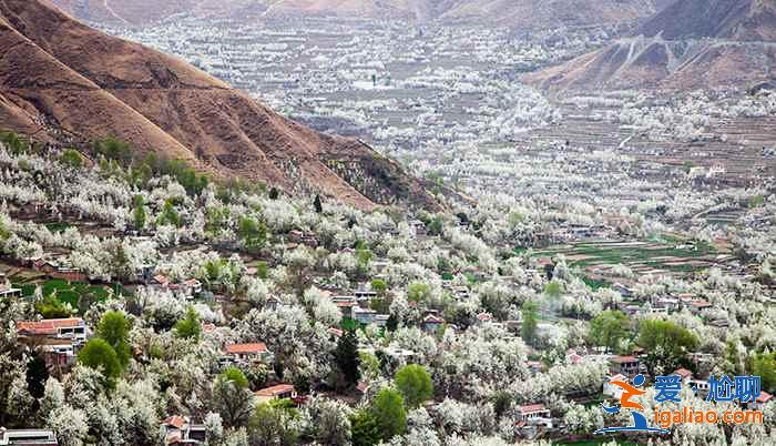 金川有什么好玩的,金川景點推薦? 金川有什么好玩的,金川景點推薦?