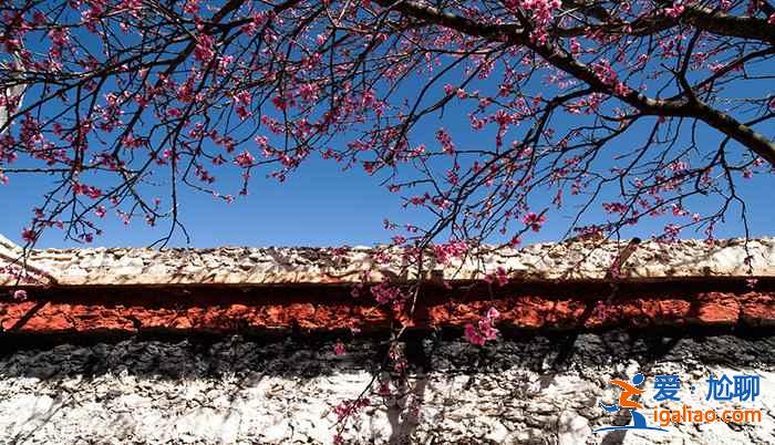 金川有什么好玩的,金川景點推薦? 金川有什么好玩的,金川景點推薦?