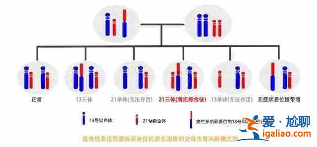 說一說廣州代懷機構？