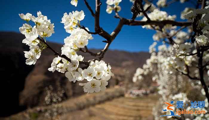 金川有什么好玩的,金川景點推薦? 金川有什么好玩的,金川景點推薦?