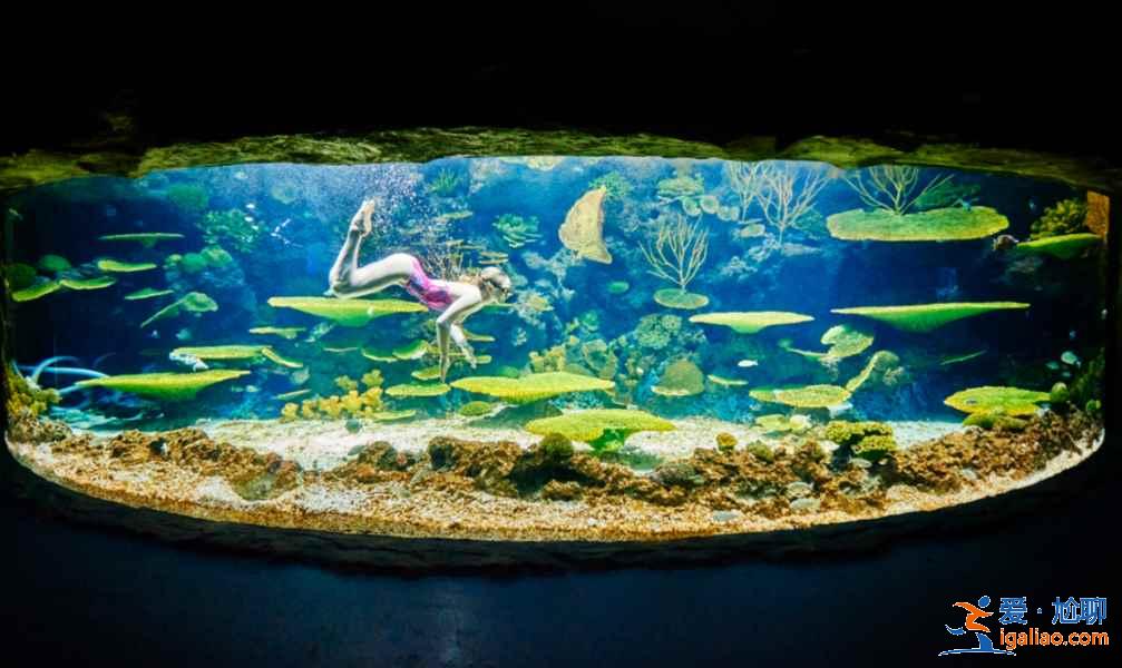 【門票】南昌萬達海洋樂園門票多少錢，南昌萬達海洋樂園門票價格？
