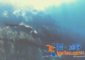 菲律賓性價比最高的海島游，菲律賓人少景美的海島推薦？