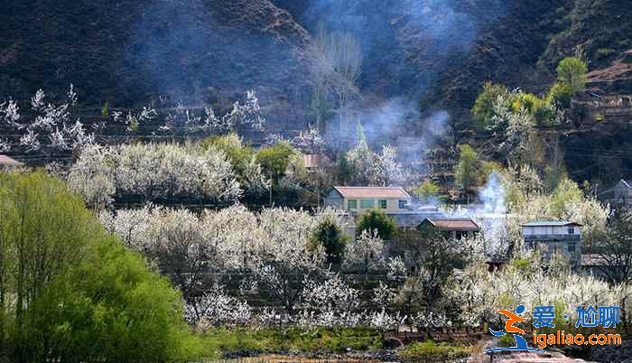 金川有什么好玩的,金川景點推薦? 金川有什么好玩的,金川景點推薦?