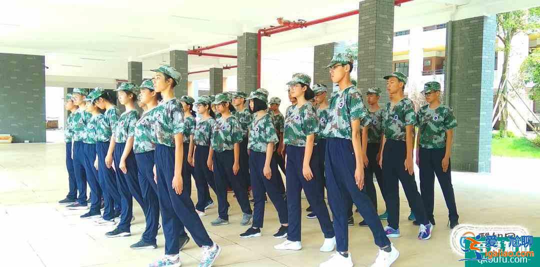 軍訓的內容有哪些？？