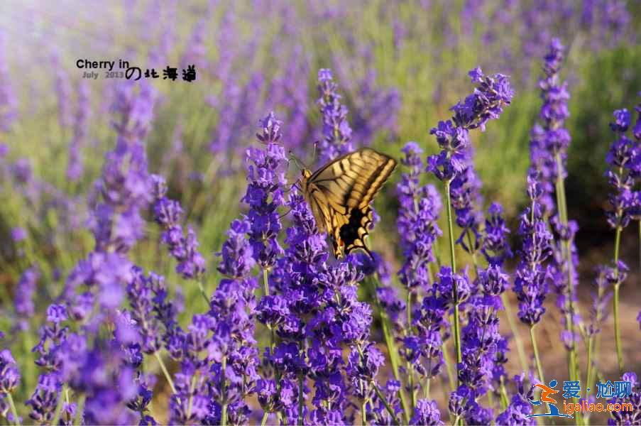 昆明代生男孩助孕_您可感興趣的? 昆明代生男孩助孕_您可感興趣的?
