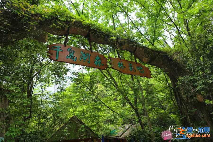 千島湖哪個景點最好玩，千島湖有什么必去景點，千島湖必打卡景點推薦？