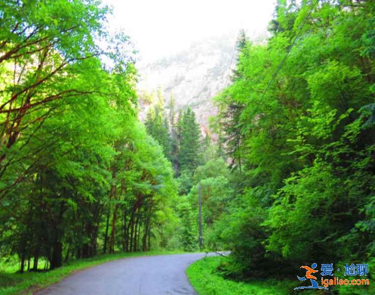 【蘭州周邊游】蘭州周邊景點推薦,蘭州周邊感受大漠風光? 【蘭州周邊游】蘭州周邊景點推薦,蘭州周邊感受大漠風光?