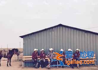 呼倫貝爾騎馬多少錢,呼倫貝爾騎馬地點及價格? 呼倫貝爾騎馬多少錢,呼倫貝爾騎馬地點及價格?